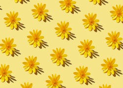 Trendy hard shadow sun light yellow dandelion or chamomile daisy flower on a pastel background. Isometric hot summer or fall seamless pattern wallpaper design. Minimal warm playful funky 90's concept.