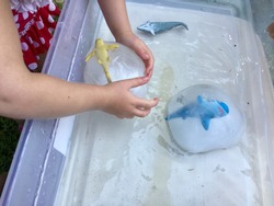 Sea Life Ice Globes for Exploration Activity.
Fun summer activity for daycare, school, home school. Educational STEM activity. Water balloons are filled with water dyed with toys and frozen.
