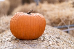 A small orange pumpkin for Halloween is lying on a bale of straw. Harvesting the autumn harvest of vegetables. Small depth of field, blurry background.