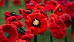 62,000 Poppies - Australian War Memorial - Canberra - Australia