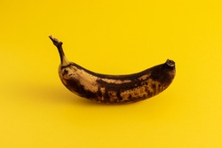 Rotten banana on yellow background. Excessive consumption concept.