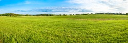 Green field landscape. Panoramic vista of spring meadow with grass and blue sky.