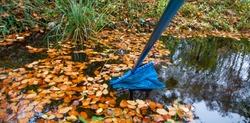 garden pond in autumn cleaning
