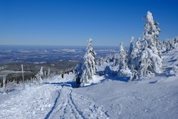 Mountain landscape with frozen trees by trail to Sniezka Peak. Silhouettes of people on trail. Karkonosze Mountans (Giant Mountains), Poland