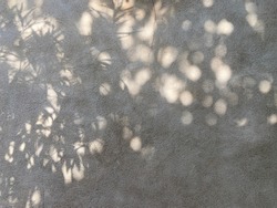 Shadow of tree leaves on mud grunge texture grey wall. Nature lights, minimal concept