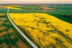 Green and Yellow agriculture field from above captured with a drone during sunset