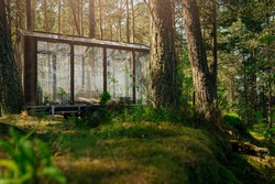 Glass cabin in green woods 