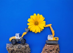 large orange flower between two small toy construction excavators. business - congratulations, day of the builder. Advertising for the construction business. Flower as a symbol of the sun and success
