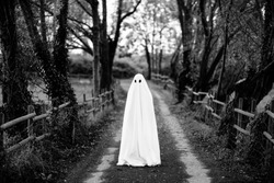 Ghost covered with a white ghost sheet  on a rural path. Grainy textured image to add vintage look. 