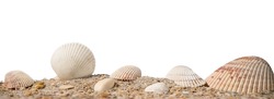 Sea shells. Beach sand with sea shells. Panorama of ocean beach. Summer concept for travel agency or post, greeting card with copy space on white isolated background. Macro High resolution photo.
