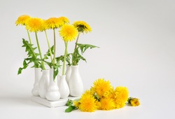 yellow dandelions in vase on white background, close-up