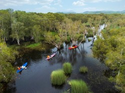 Aerial view (drone shot) of tourist kayaking at Rayong Botanical Gardens, a wetland ecosystem open to the public to promote ecotourism, Klaeng district, Rayong, Thailand