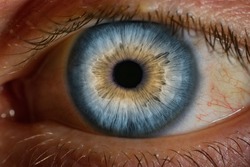 Macro close up view image of human eye