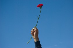 Hand of a man in the air holding a red carnation with the sky behind