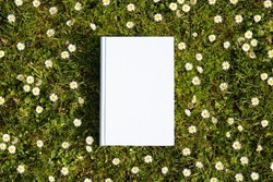 Book with a blank cover seen from above on a lawn with daisies.