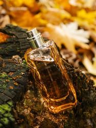 Close up glass bottle of aromatic woody luxury perfume on autumn background. Minimalistic packaging, branding. Woody fragrance. Transparent glass cologne aroma template Vertical view, soft focus. Fall