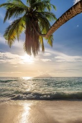 Sunset at tropical beach. Coco palm over beach in Sunlight and paradise sea in tropical island.