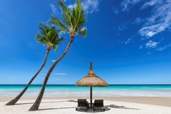 Exotic tropical Sunny beach and coconut palm trees on Caribbean island. Beach umbrella and chairs on sandy beach for Summer vacation.