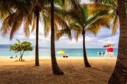 Beach in Jamaica with tall palm tree on Caribbean sea