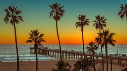 Palm trees and Pier on Manhattan Beach at sunset in California, Los Angeles, USA. 
