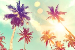 Tropical palm tree with colorful bokeh sun light on sunset sky cloud abstract background.Summer vacation and nature travel adventure concept.  Vintage tone filter effect color style.