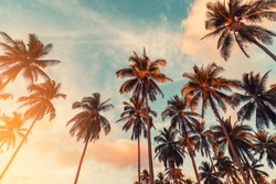 Copy space of silhouette tropical palm tree with sun light on sunset sky and cloud abstract background. Summer vacation and nature travel adventure concept. Vintage tone filter effect color style.