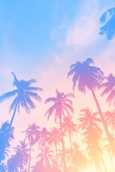 Copy space of silhouette tropical palm tree with sun light on sunset sky and cloud abstract background. Summer vacation and nature travel adventure concept. Pastel tone filter effect color style.