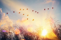 Birds flying and grass flower on sunset sky and cloud abstract background. Freedom and nature environment concept. Vintage tone filter effect color style. 