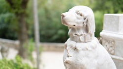 White dog statue in Sintra, Portugal. Stone dog sculpture