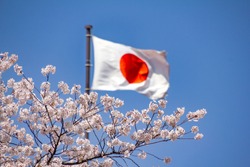 Waving flag japanese with sakura flower