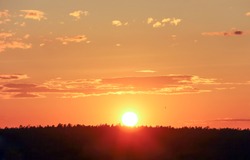 The sun sets over the forest over the horizon against the backdrop of the summer evening sky. Concept for desktop background, natural texture, nature. Kyiv (Kiev), Ukraine, Europe.