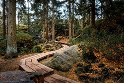Wooden walkway through forest and scenic mountain hiking trail in Sudety, Stolowe Mountains National Park, Poland. Hiking on touristic path in the mountains