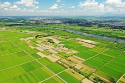 Paddy field scenery in Abiko City, Chiba Prefecture