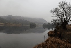 Rydal Water in the English Lake District on a dank day in February. A bare tree stands by the waterside whilst a grey, misty stillness hangs over the lake and fells.