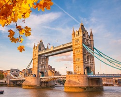 Tower bridge with autumn leaves, London