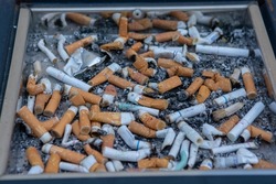 Many of cigarette butts in a big public ash tray.  Stacked cigarette butts.