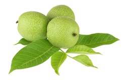 green walnut isolated on white background