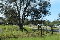 Metal gate between winden posts in foreground of green trees in Taylor, Alabama 