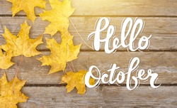 Golden autumn maple leaves on sunny day. Great season texture with fall mood. Nature september and october background with hand lettering Hello October. 