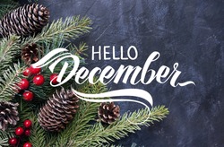 Hello December hand lettering inscription. Spruce branches and cones frame. Great season texture with december and winter mood, traditional beverage for winter time. 