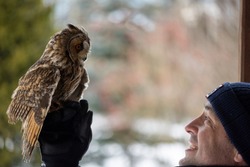 a man in a black jacket with a long-eared owl on his arm looking at each other