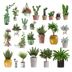 Big collection of vector realistic detailed house or office plant for interior design and decoration. Tropical and Mediterranean plant and flowers plant cactus for interior design and decoration