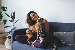Portrait of happy woman having fun with adorable mongrel dogs spending leisure time in home living room, cheerful female resting at couch with cute doggie pets smiling at camera in apartment