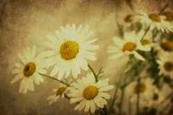 floral background in retro style