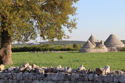 old rural countryside trulli in Puglia, Italy