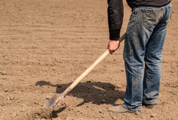 Man, male gardener in dirty jeans and  old shoes digging  with a shovel in a garden. Close up man digs soil with metal shovel. Digging ground for plant breeding. Agriculture concept.