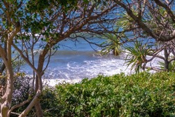 Scenic beach view in summer time on blue sky day peering through coastal trees. 