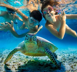 Underwater photo of children snorkeling and swimming with tropical sea turtle. Selective focus, blurred background