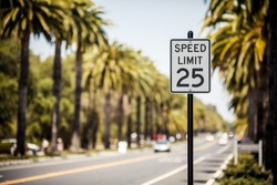 Speed Limit 25 sign on the road with palms, USA