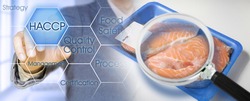 HACCP (Hazard Analyses and Critical Control Points) - Food Safety and Quality Control in food industry - concept with fresh fish salmon, plastic trayand magnifying glass